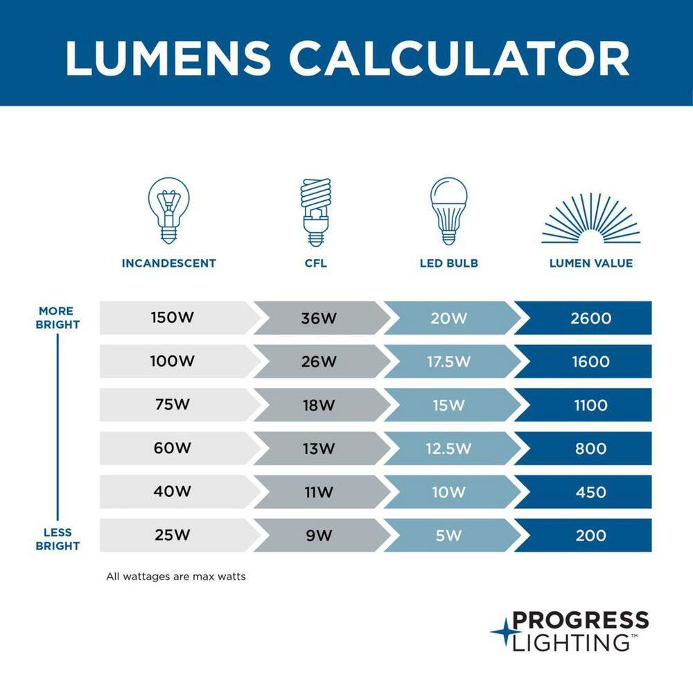 Matte Black 5-Light Semi-Flush Mount with Glass Bulbs