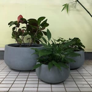 Lightweight Concrete Modern Low Bowl Charcoal Planter (Set of 3)