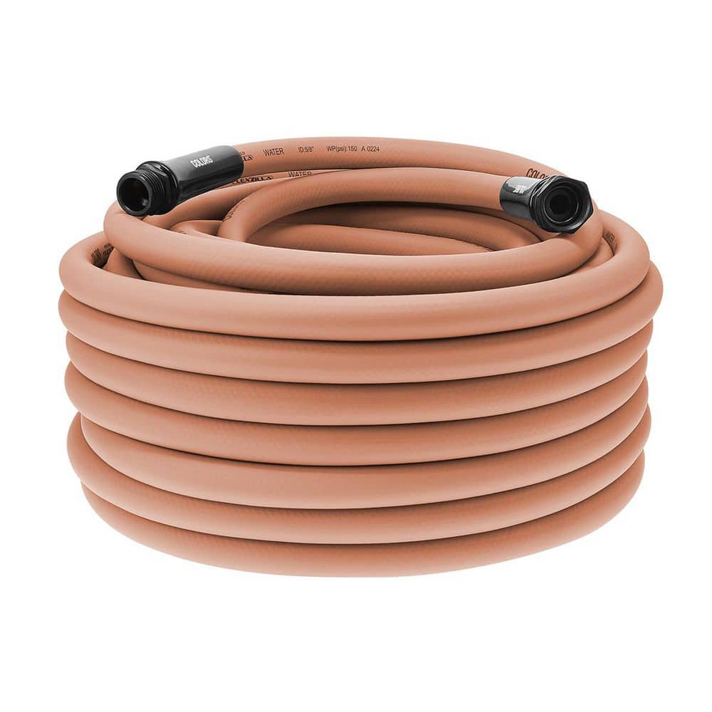 Flexzilla Colors Series 5/8 in. x 100 ft. 3/4 in. 11-1/2 GHT