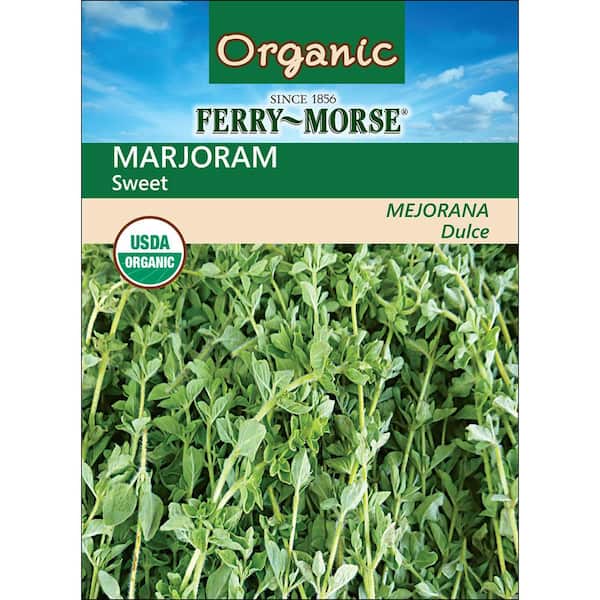 Organic Sweet Marjoram Herb Seed