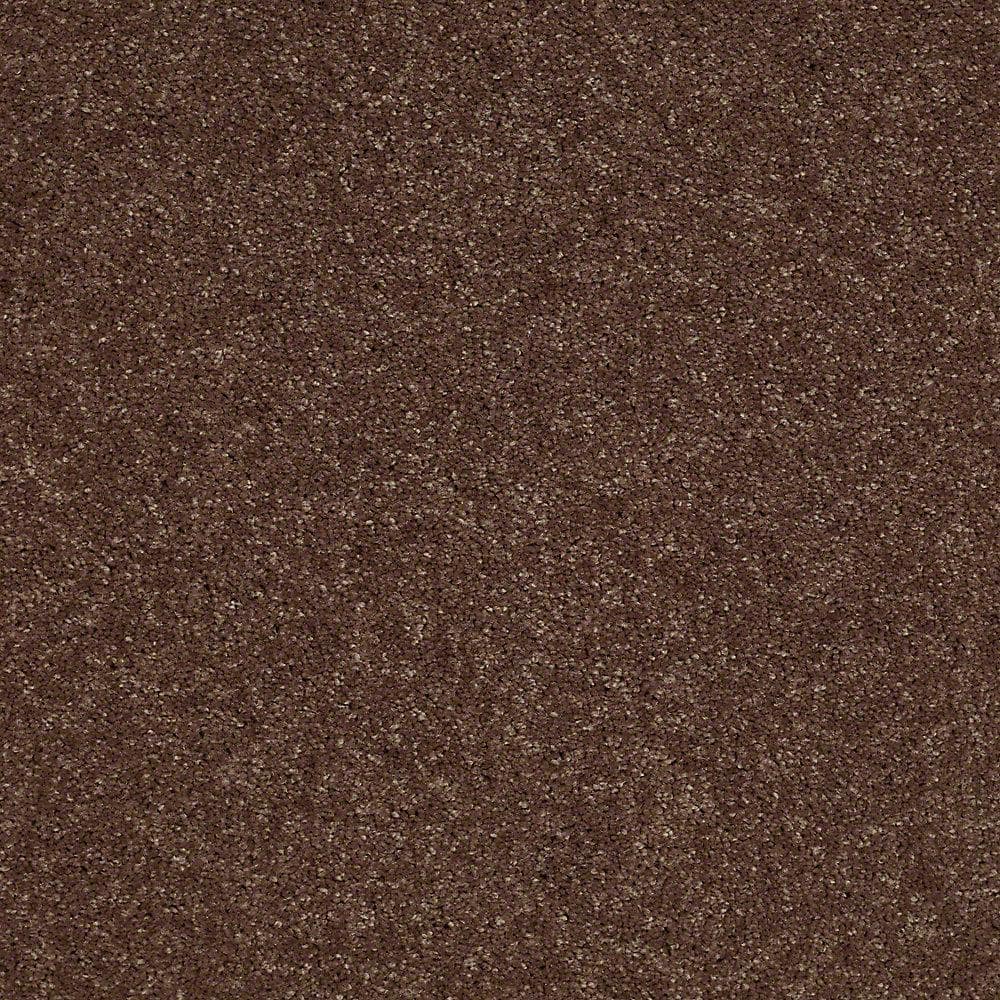 8 in. x 8 in. Texture Carpet Sample - Brave Soul II - Color Fudge price history on PriceWatchPro