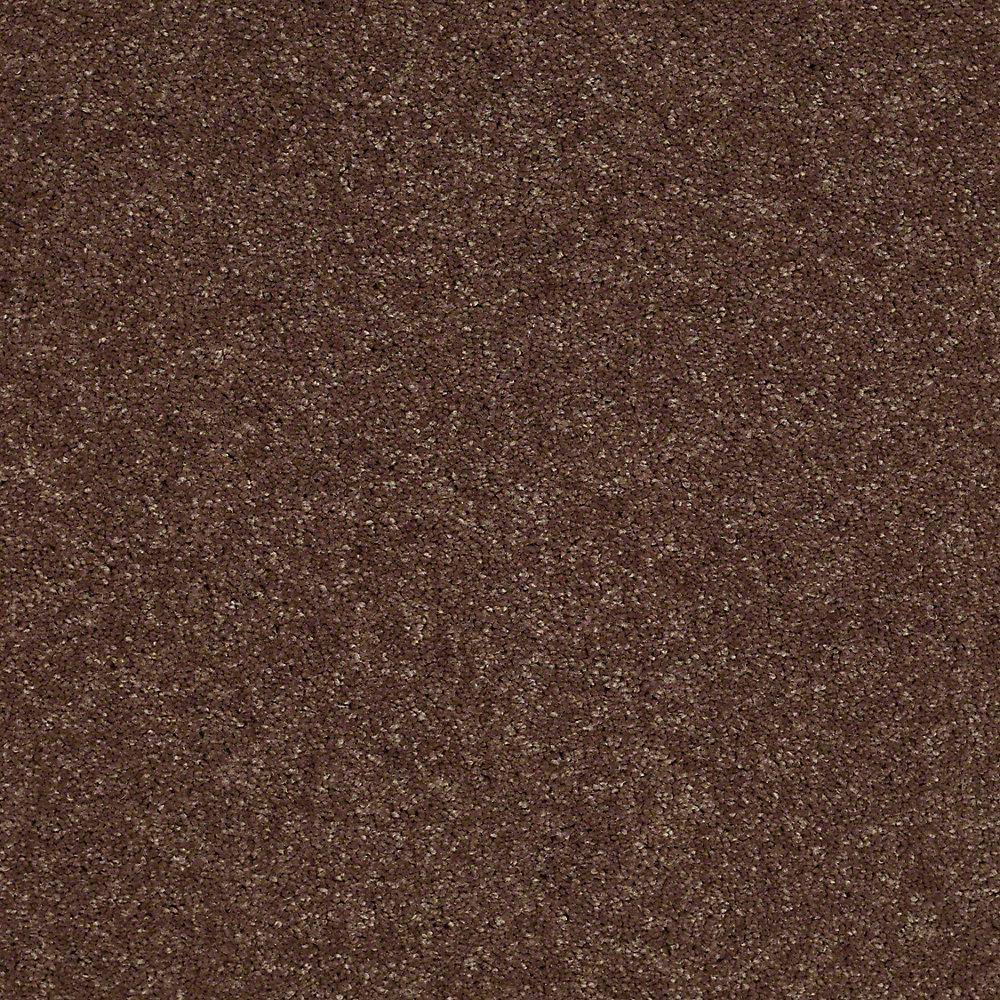 Home Decorators Collection Brave Soul II - Color Fudge Indoor Texture Brown  Carpet HDD7980703 - The Home Depot