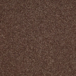 Brave Soul II - Fudge - Brown 44 oz. Polyester Texture Installed Carpet