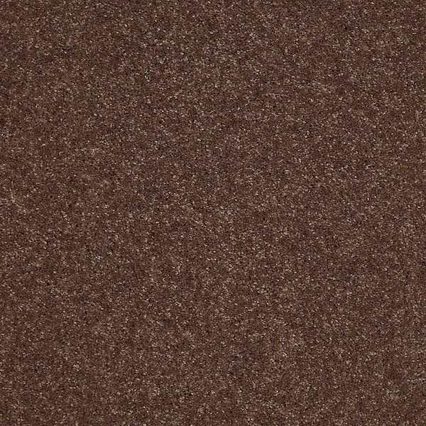 Home Decorators Collection Brave Soul II - Fudge - Brown 44 oz. Polyester Texture Installed Carpet