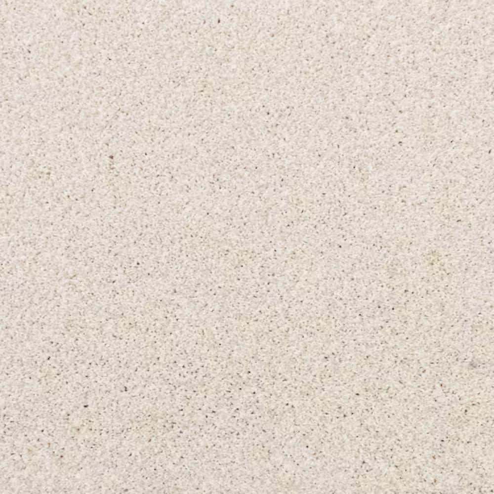 8 in. x 8 in. Texture Carpet Sample-Magalynn I-Color Warm Glow price history on PriceWatchPro
