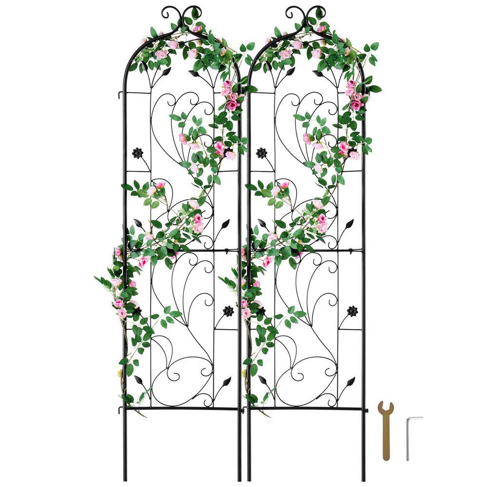 Garden Trellis for Climbing Plants, 60 x 15 in., 2 Packs Rustproof Metal Garden Flower Trellis, Climbing Rose Trellis