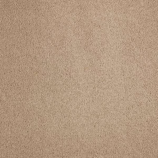 Gazelle II  - Shoe Peg - Beige 55 oz. Triexta Texture Installed Carpet