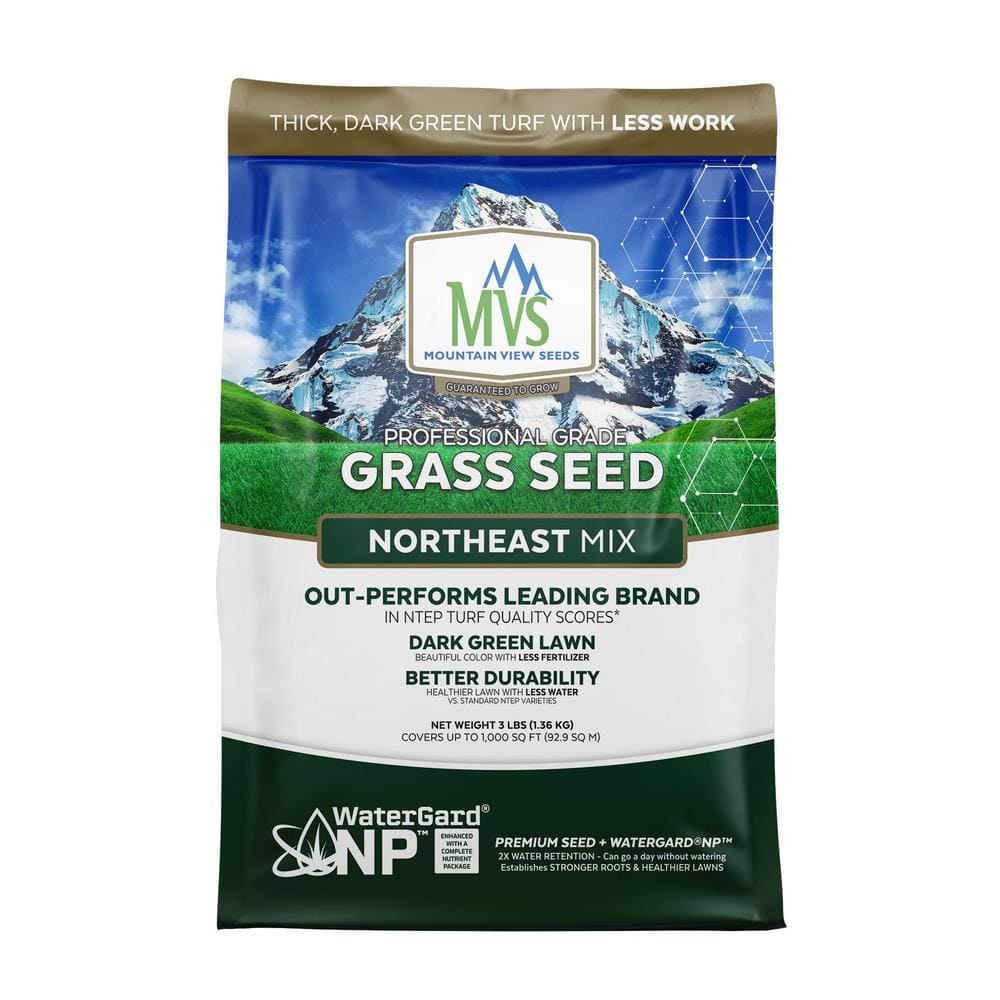 mountain-view-seeds-grass-seed