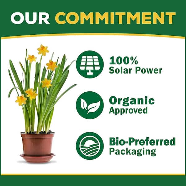 Organic Potting Mix Espoma 8 qt