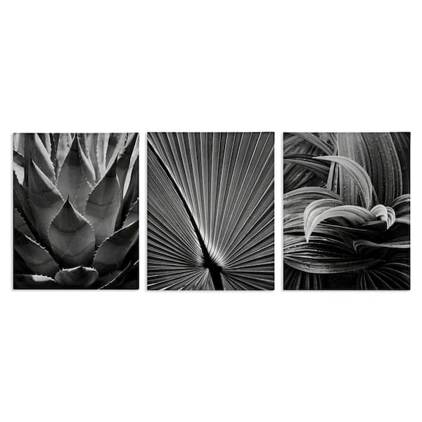 Palm Frond Details by Chip Forelli 3-Pieces Unframed Nature Graphic Art Print 14 in. x 11 in.