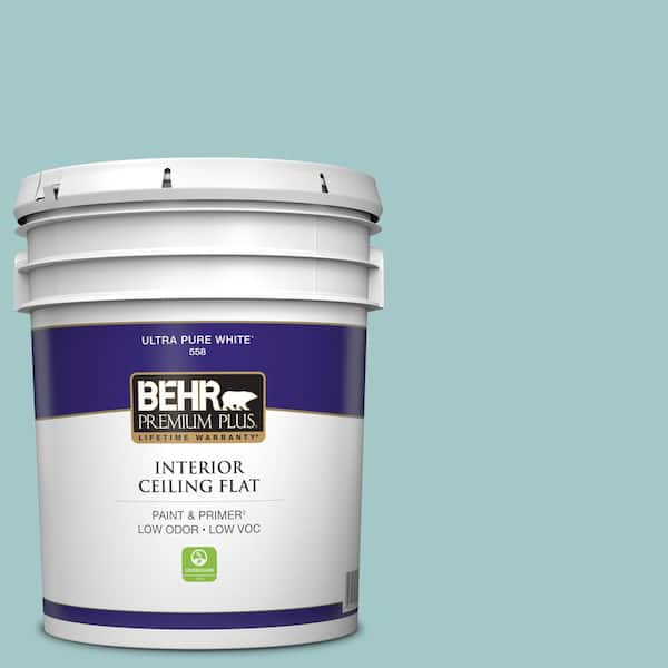 5 gal. #PPU13-10 Ocean Boulevard Ceiling Flat Interior Paint