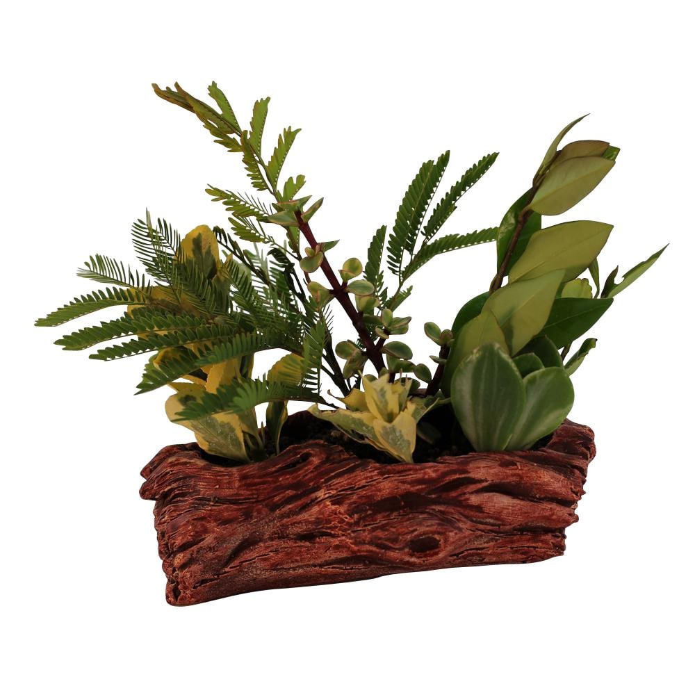 7 in. x 3.75 in. x 2.5 in. Redwood Ceramic Wood Plant Pot - Unique Succulen