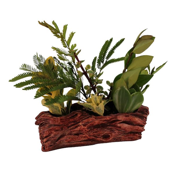 Unbranded 7 in. x 3.75 in. x 2.5 in. Redwood Ceramic Wood Plant Pot - Unique Succulent Planter Knotted Log