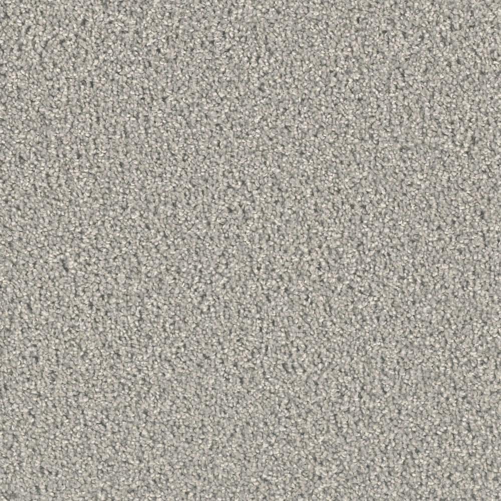 8 in. x  8 in. Texture Carpet Sample - Delicate Flower -Color Tender price history on PriceWatchPro