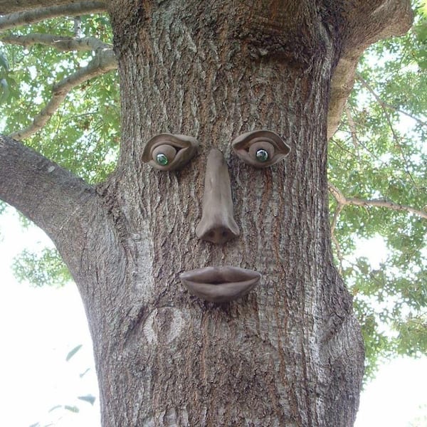 Genuine Tree Peeple Simon Tree Face