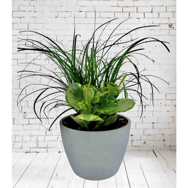 indoor planter pot with stand Metal Plant Stand with Pot