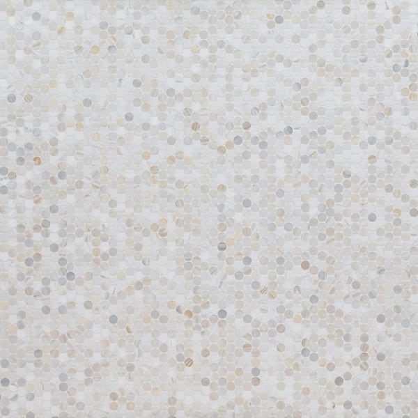 MSI Take Home Sample - Athena Gold Pennyround 6 in. x 6 in. Honed Marble Floor and Wall Tile