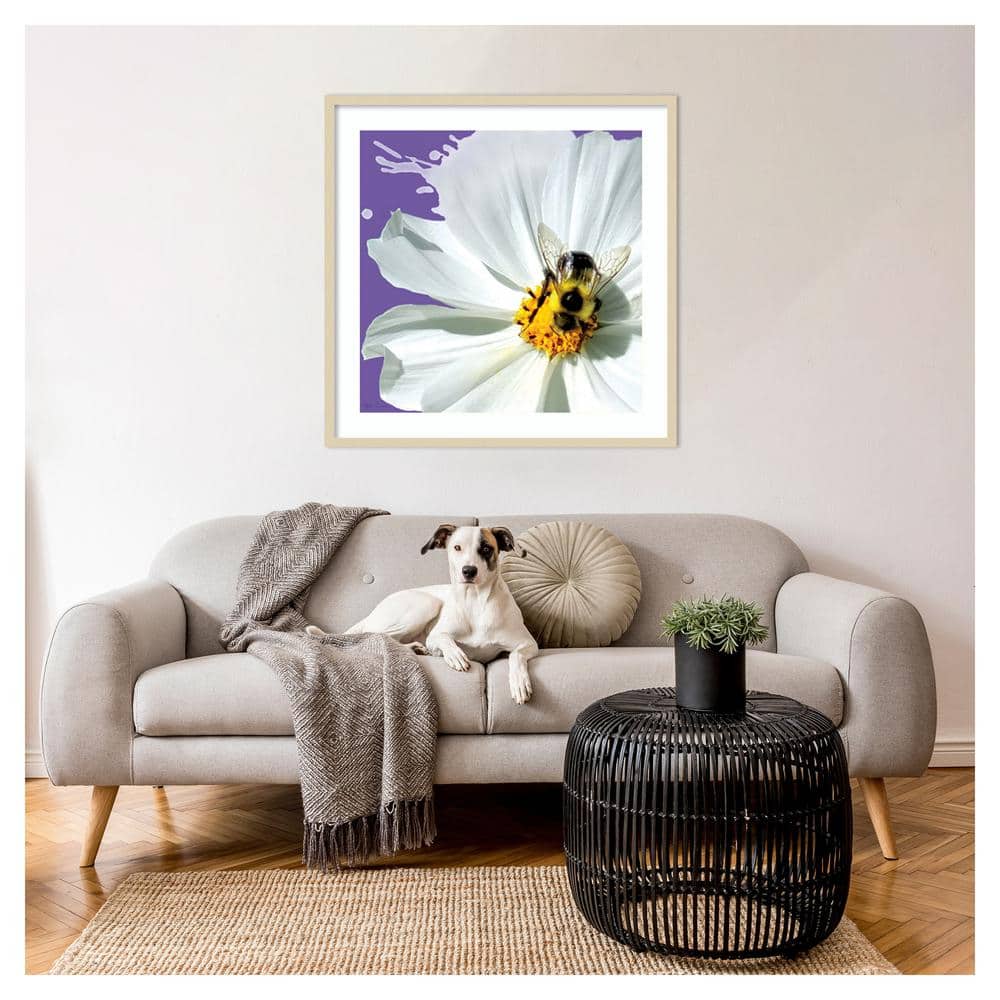 Flower Pop IV by Marie Elaine Cusson Framed Graphic Art Print
