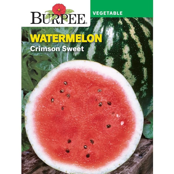 Watermelon Crimson Sweet Vegetable Seed