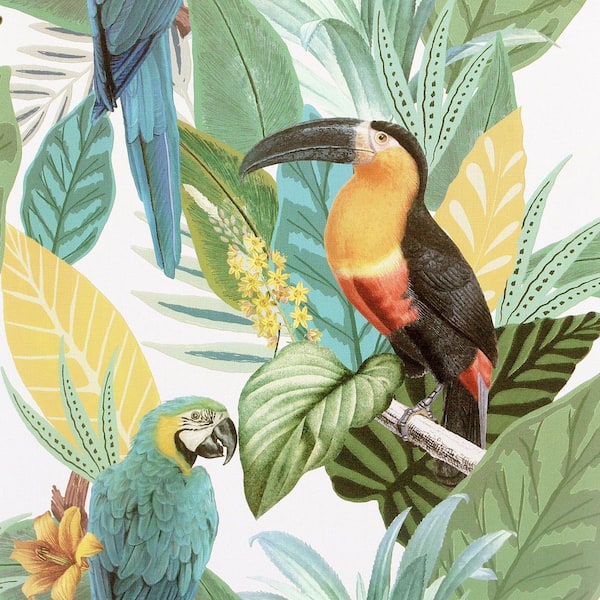 Trudie Multicolor Toucan Macaw Wallpaper
