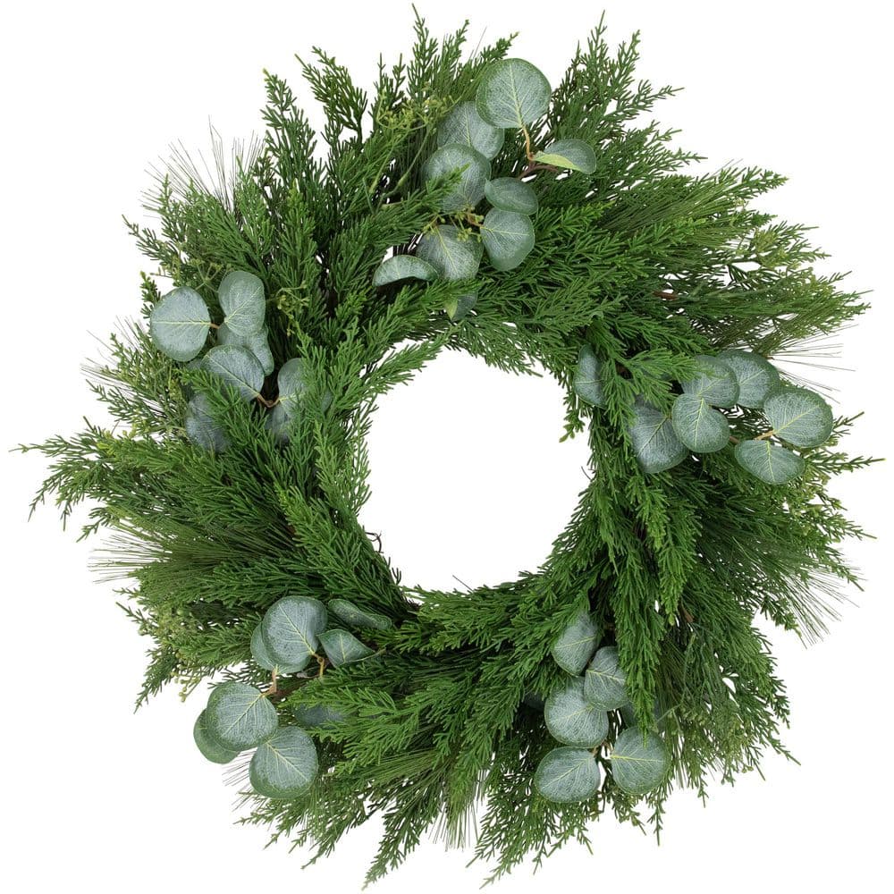"24 ""-Unlit Real Touch️ Mixed Pine and Eucalyptus Artificial Christmas Wreath" price history on PriceWatchPro