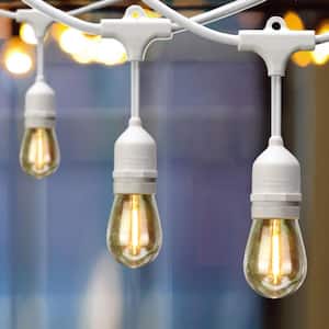 12-Light 24 ft. Indoor/Outdoor Plug-In Edison Bulb String Light with S14 Single Filament LED Bulbs in White Cord