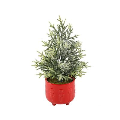 Norfolk Pine Christmas Plants Indoor Christmas Decorations The Home Depot
