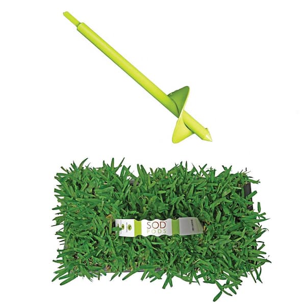 St Augustine Seville Sod/Grass Plugs 64-Count/SP Power Planter Bundle - Natural, Affordable Lawn Improvement