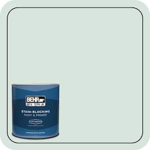 1 qt. #S420-1 New Day Extra Durable Satin Enamel Interior Paint & Primer