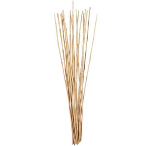 Litton Lane Pampas Natural Foliage with Long Stems (One Bundle) 043439 -  The Home Depot