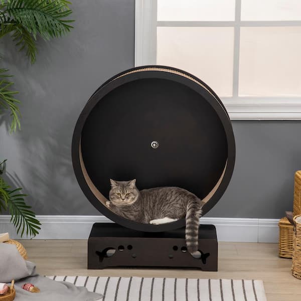 Small cat sale wheel