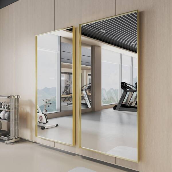 ORGANNICE 36 in. W x 72 in. H Gold Aluminum Rectangle Framed