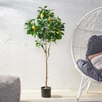 Dundas 5 ft. Green Artificial Lemon Tree