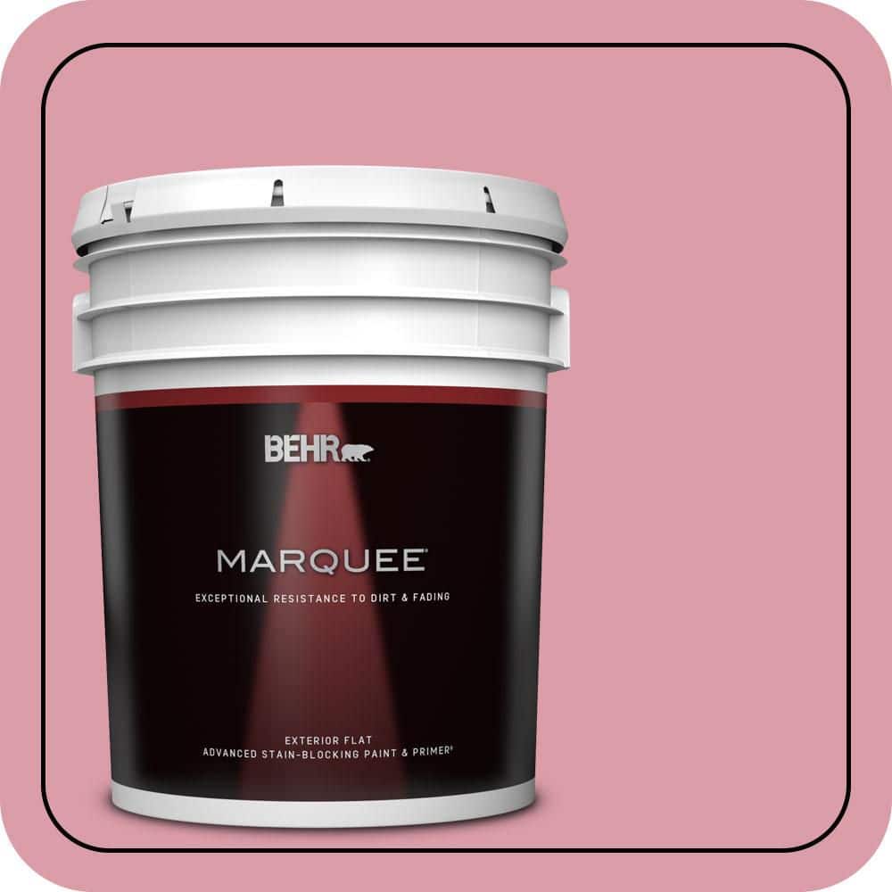 5 gal. #110C-3 Glamour Flat Exterior Paint & Primer price history on PriceWatchPro