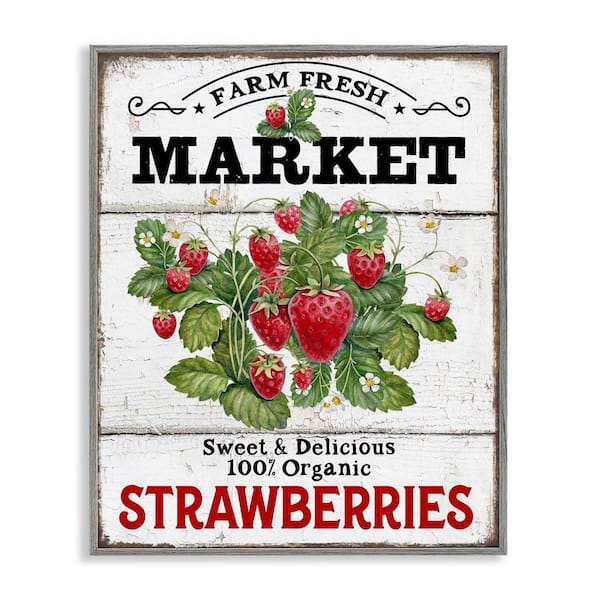 Farm Fresh Strawberries by Creatif Belle Gray Framed Food Giclee Art Print 20 in. x 16 in.