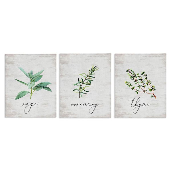 Stupell Industries Charming Summer Kitchen Herbs by Lettered and Lined 3-Pieces Unframed Typography Graphic Art Print 30 in. x 24 in.