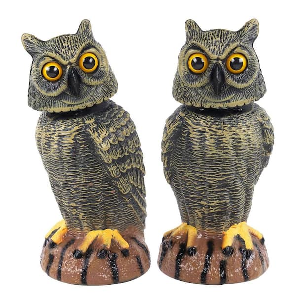 Golden Realistic Owl Bait Sculpture Product Type, (2-Pack)