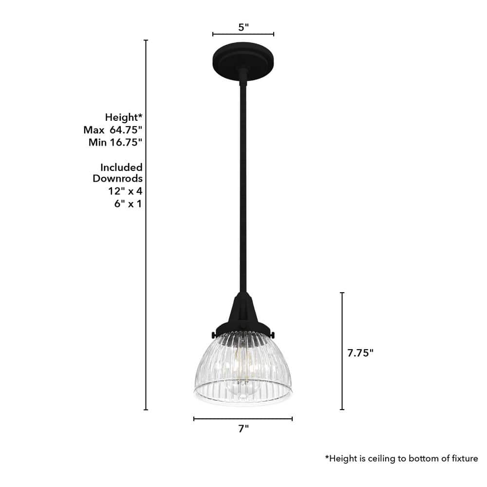 Hunter Cypress Grove Natural Black Iron Mini Pendant Light with Clear Glass Dome Shade