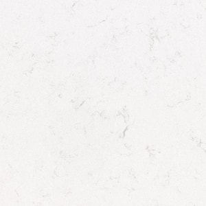 4 in. x 4 in. Quartz Countertop Sample in New Carrara Marmi