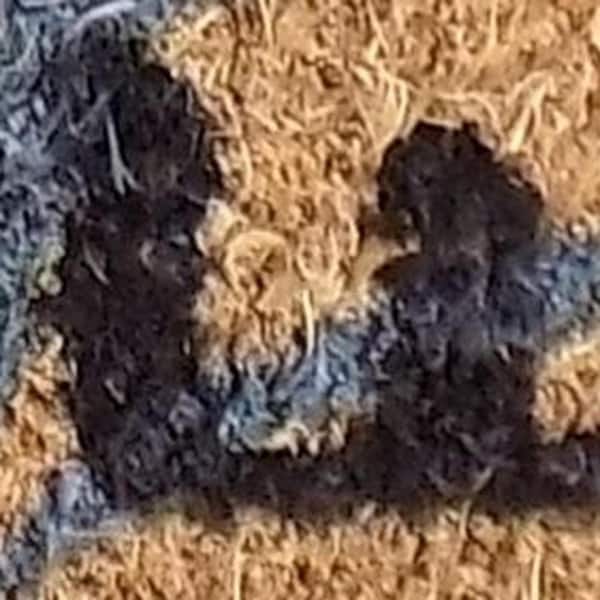 Multi-Colored 30 in. x 18 in. Coir Non-Slip Indoor/Outdoor Door Mat