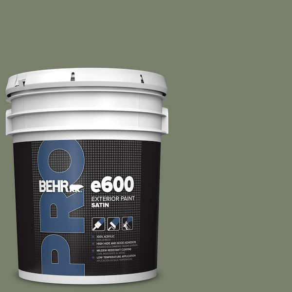 https://images.thdstatic.com/productImages/84cba866-98ef-4f71-80ef-0d11106009e2/svn/bahia-grass-behr-pro-paint-colors-pr64305-64_600.jpg