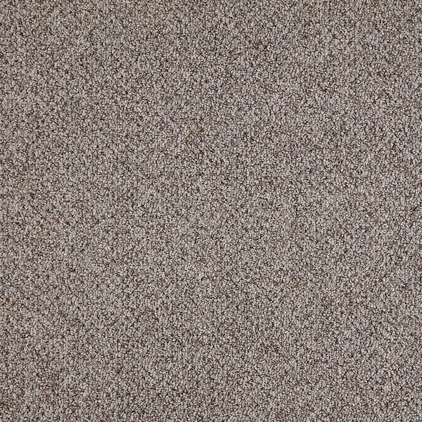 TrafficMaster Moss Peak  - Stratosphere - Blue 15 ft. 31 oz. Polyester Pattern Installed Carpet