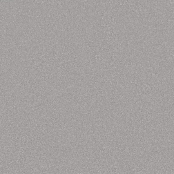 8 in. x 8 in. Texture Carpet Sample-Park Royal II-Color Rhino