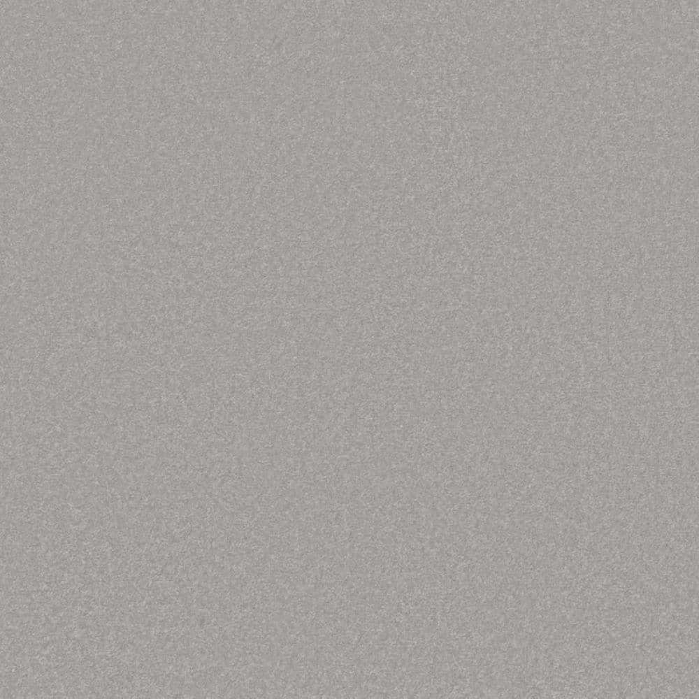 8 in. x 8 in. Texture Carpet Sample-Park Royal I-Color Rhino price history on PriceWatchPro