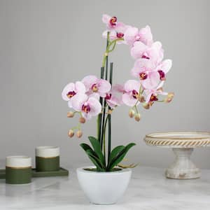 21 in. Pink and White Artificial Orchid Plant in a White Pot