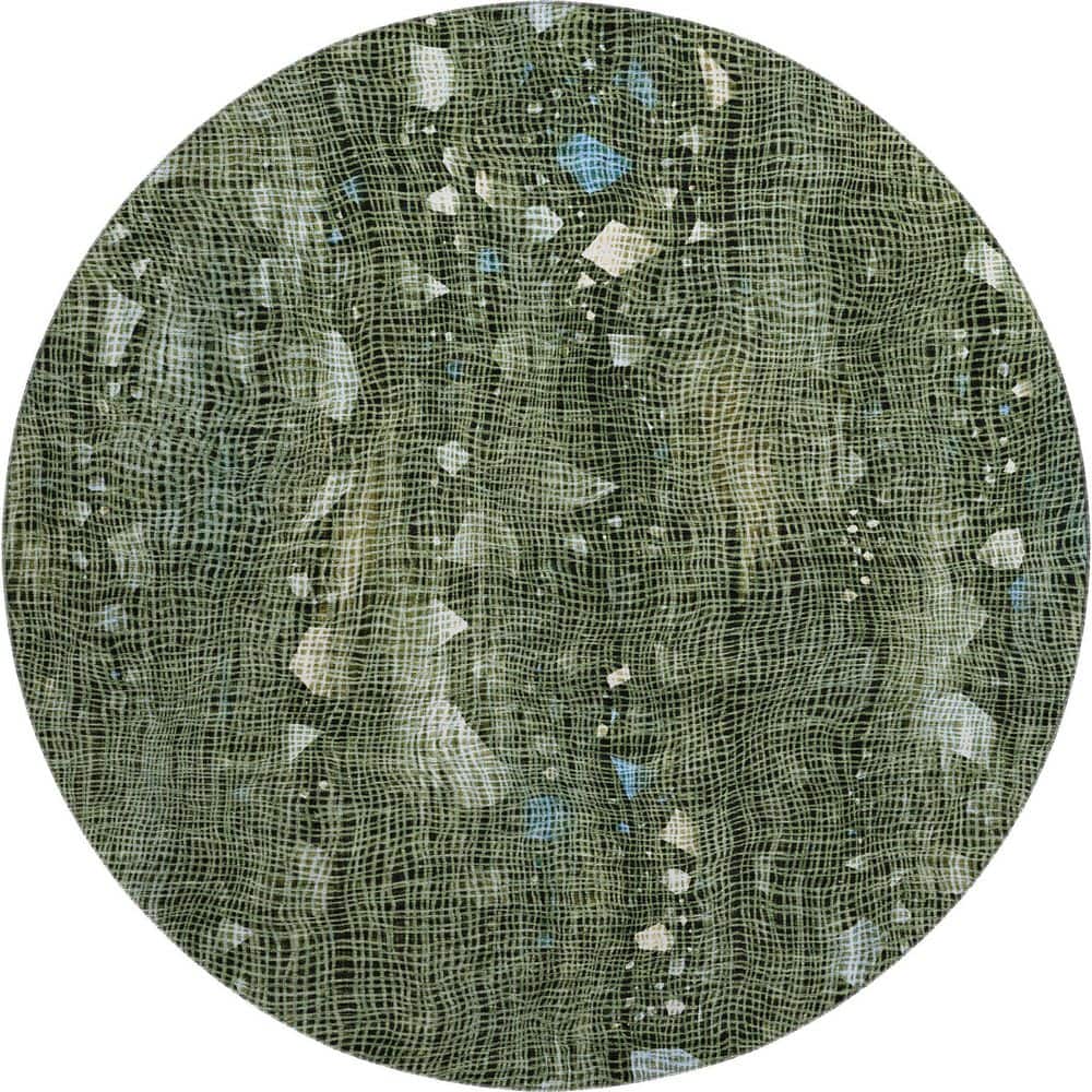 Mayfield Premium Machine Washable Abstract AMF2092 Fern 8 ft. x 8 ft. Round Rug price history on PriceWatchPro