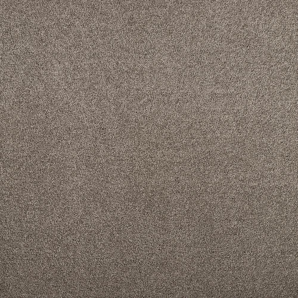 8 in. x 8 in. Texture Carpet Sample - Hainsridge -Color Grey Stone price history on PriceWatchPro