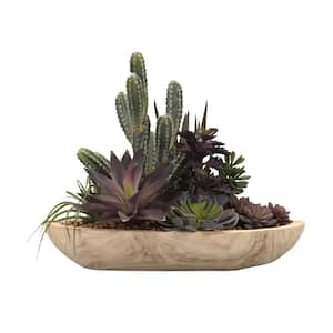 Indoor Echeverias, Cactus and Assorted Succulents in Oval Wooden Bowl