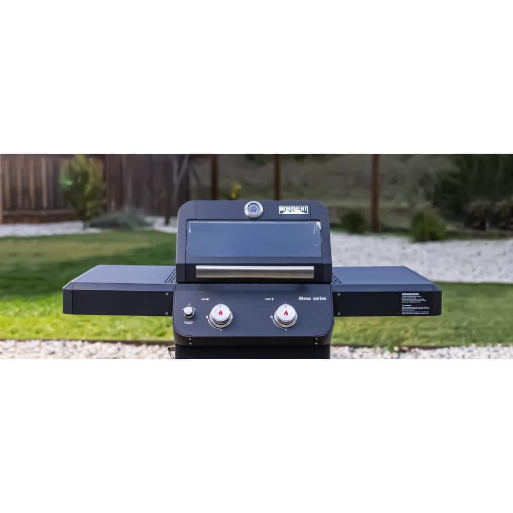 Mesa Black 2-Burner Stainless Steel Propane Gas Grill with LED Controls