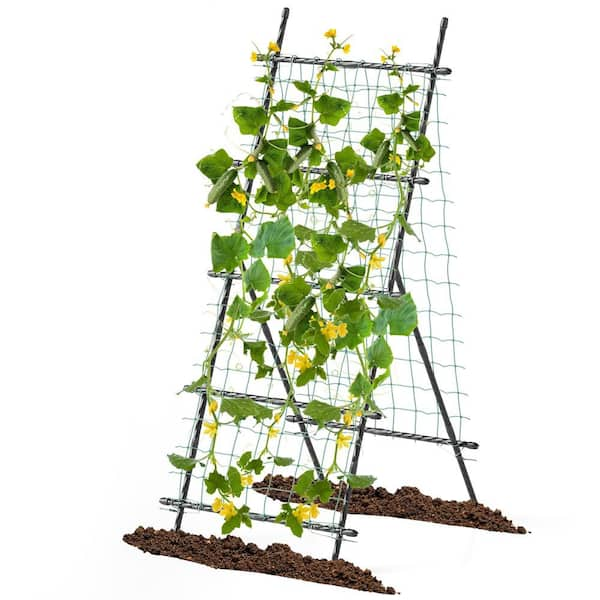 75 in. Metal Garden Cucumber Trellis for Plant Climbing with PE-Coated Frame, Trellis Net